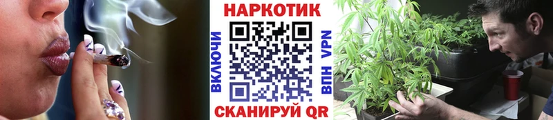 Где купить наркотики Светлогорск Псилоцибиновые грибы  Канабис  Кокаин  мега зеркало  Гашиш  Мефедрон 