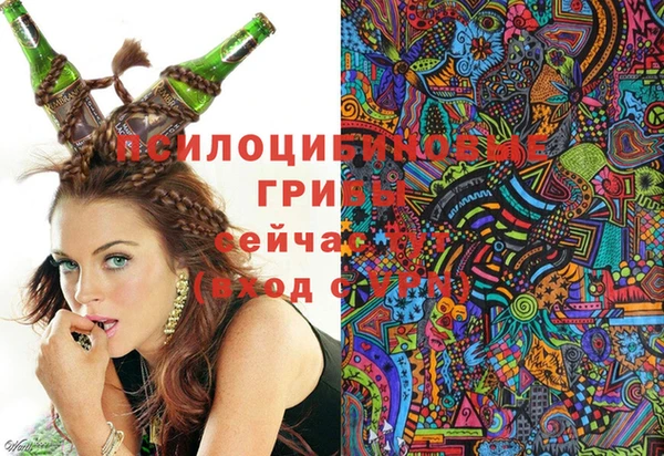 бошки Баксан
