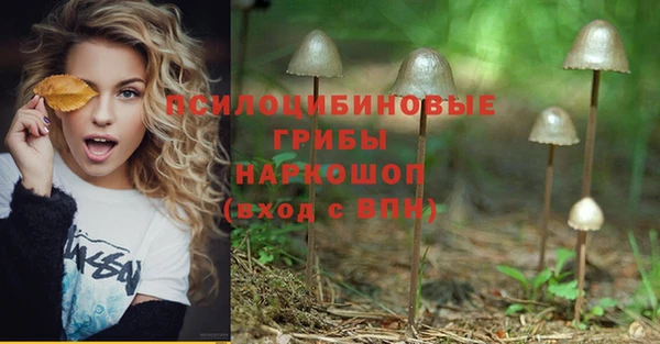 ГАЛЛЮЦИНОГЕННЫЕ ГРИБЫ Балабаново