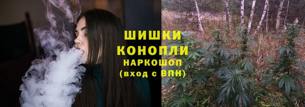 ГАЛЛЮЦИНОГЕННЫЕ ГРИБЫ Балабаново