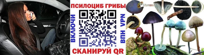 Галлюциногенные грибы Cubensis как найти закладки Светлогорск