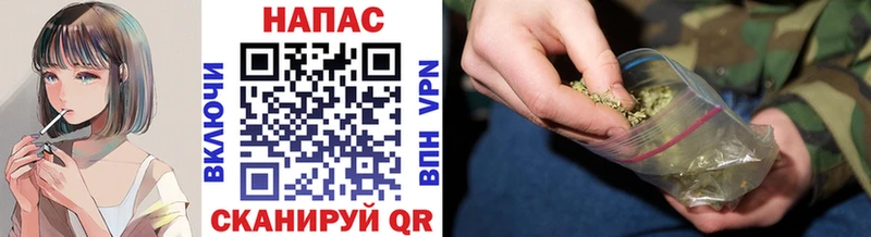 Каннабис MAZAR  где купить   Светлогорск 